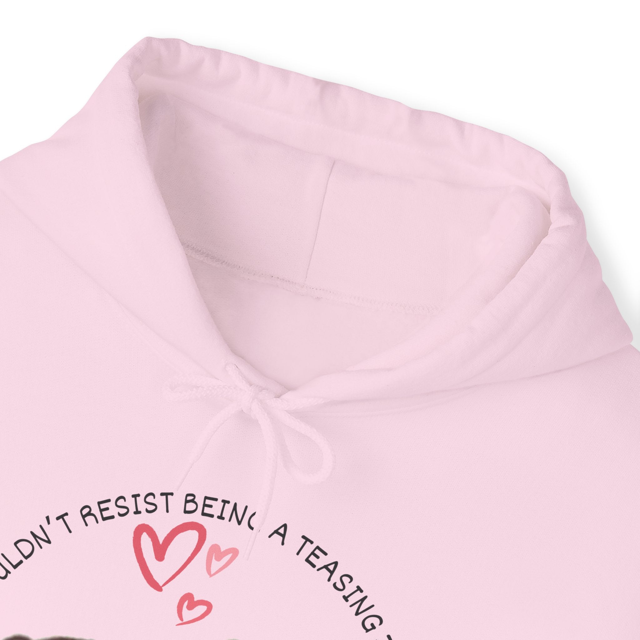 Teasing Tempter Hoodie